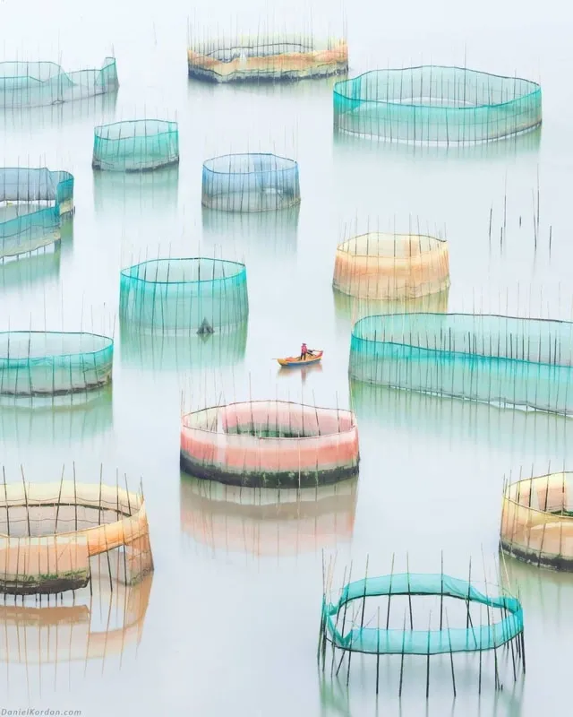 China Fishing - Daniel Kordan 7