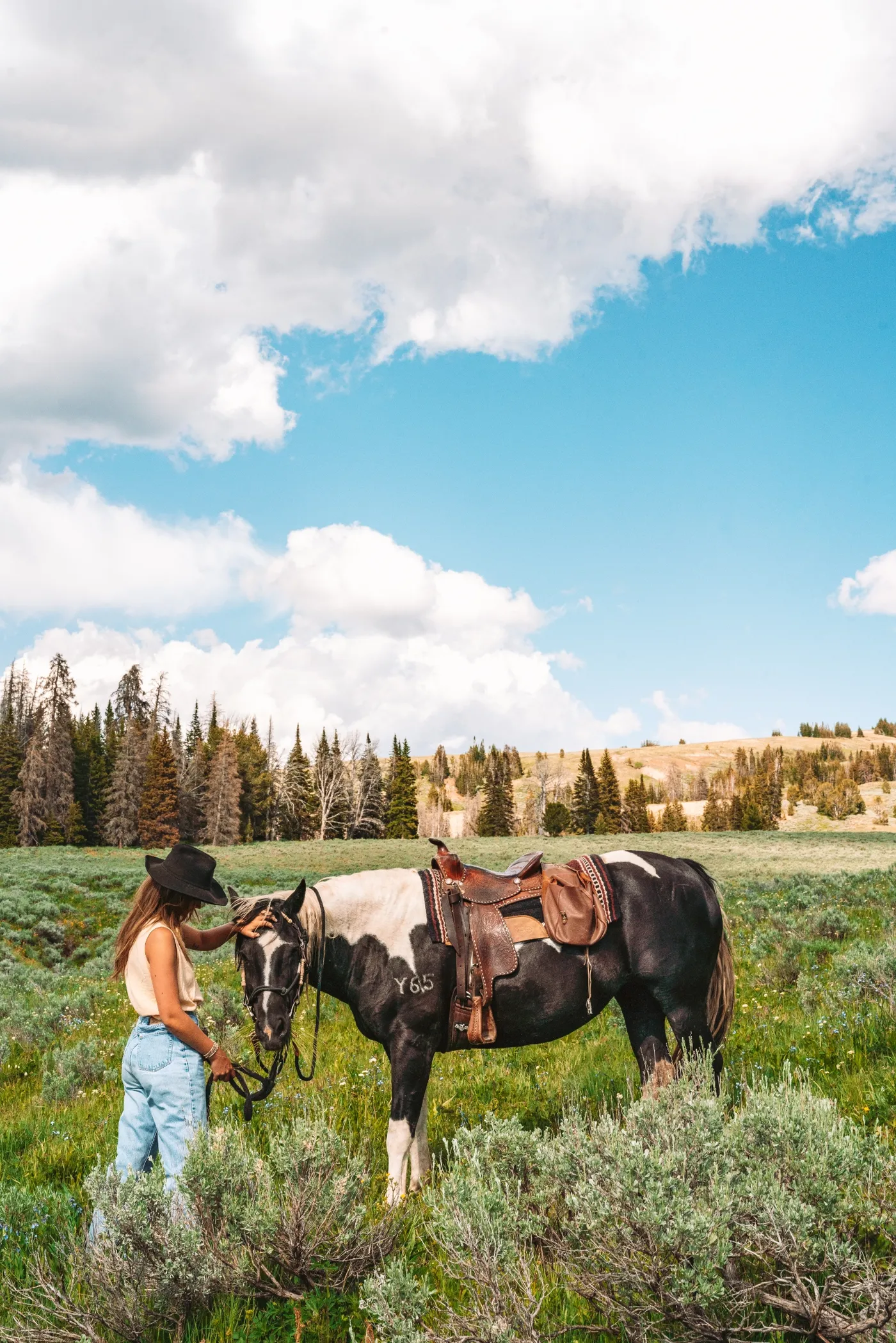 Darwin Ranch 4