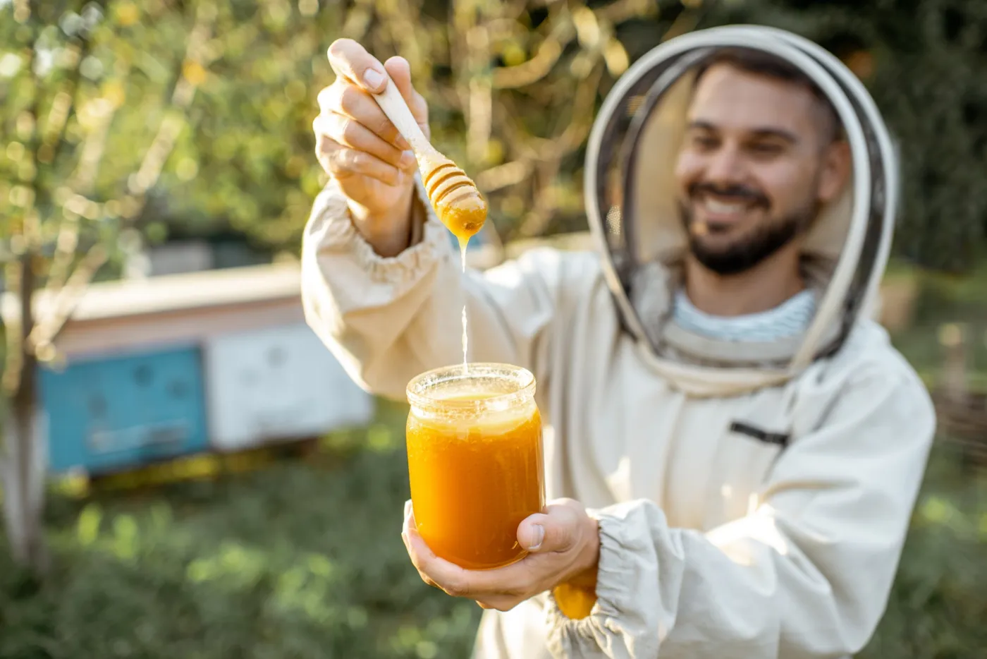 Apiculture 11