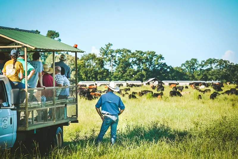 White Oak Pastures 2