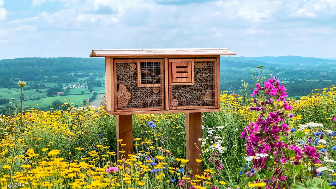 Apiculture 7
