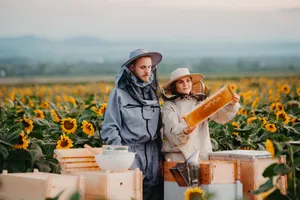 Apiculture Hero