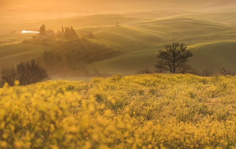 Tuscany Flowers_1 - Daniel Kordan 10