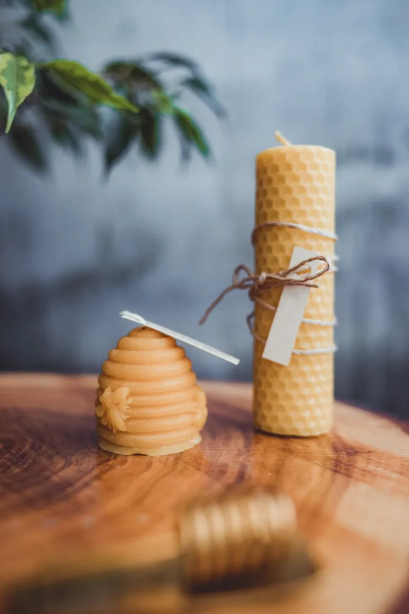 Apiculture 5