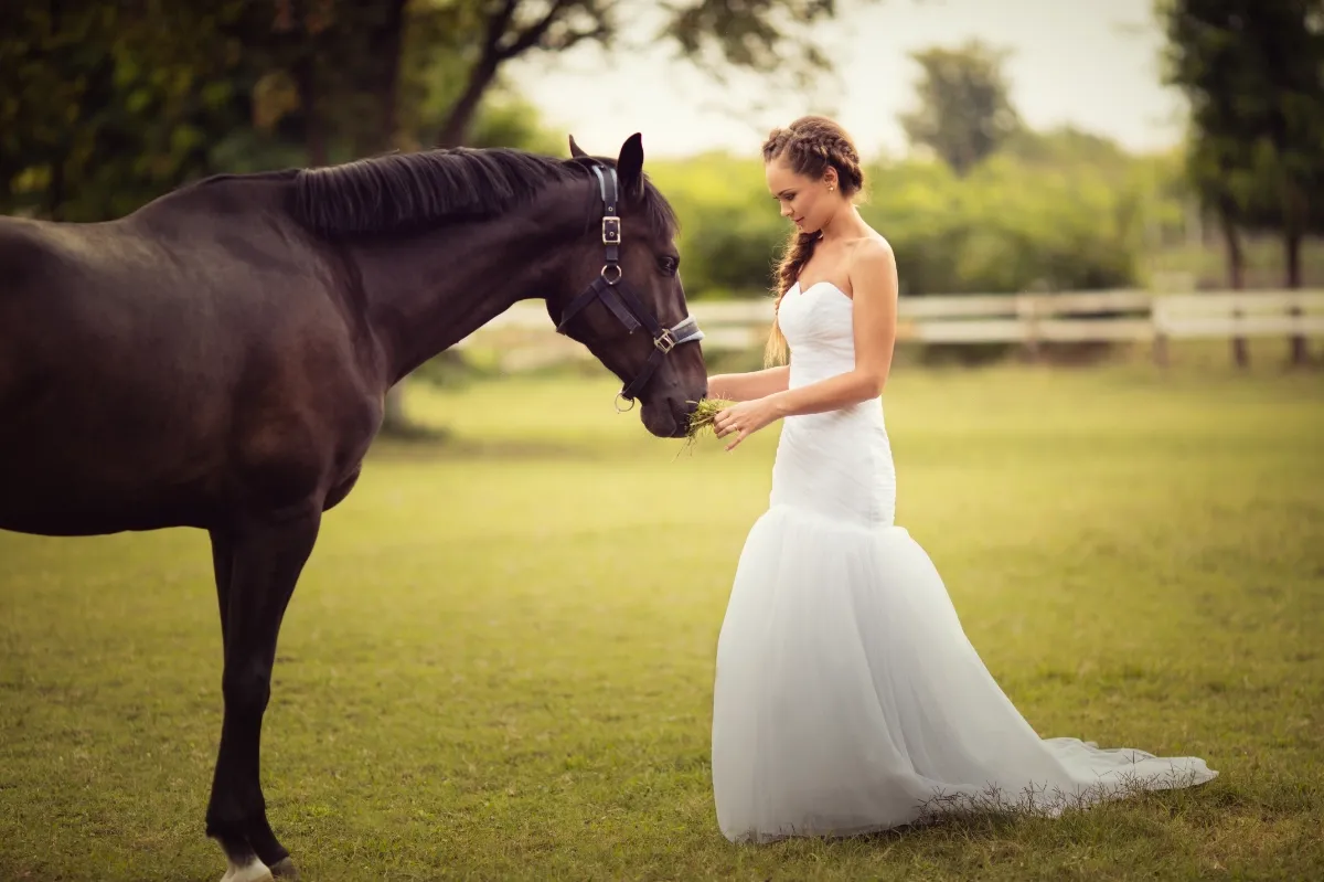 Where Romance meet Rustic 6